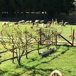 Fiorella Farm stay Camigliatello Silano