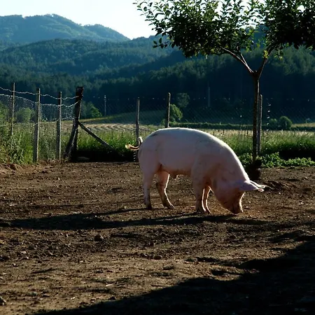 Séjour à la ferme Fiorella Camigliatello Silano