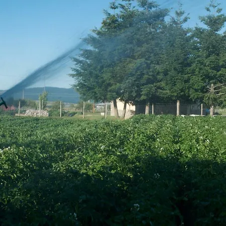 Fiorella Camigliatello Silano