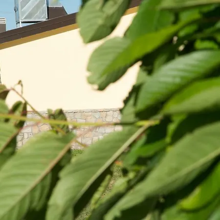 Fiorella * Camigliatello Silano