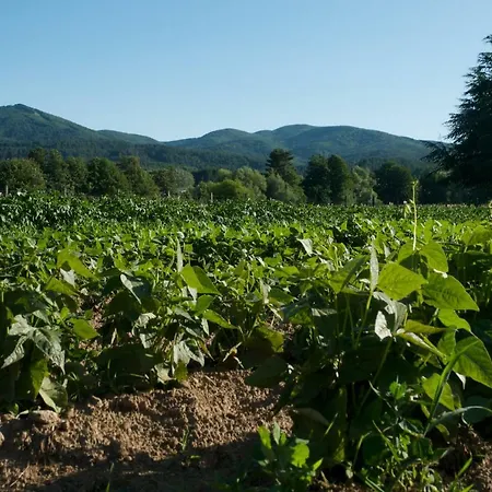 Farm stay Fiorella