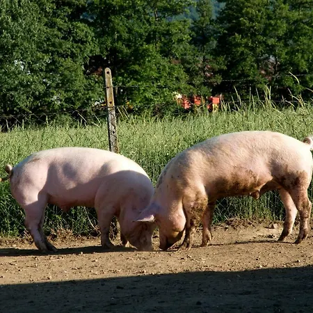 Fiorella Séjour à la ferme