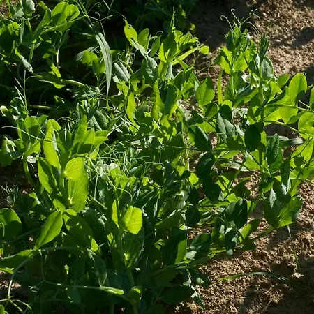 Séjour à la ferme Fiorella *