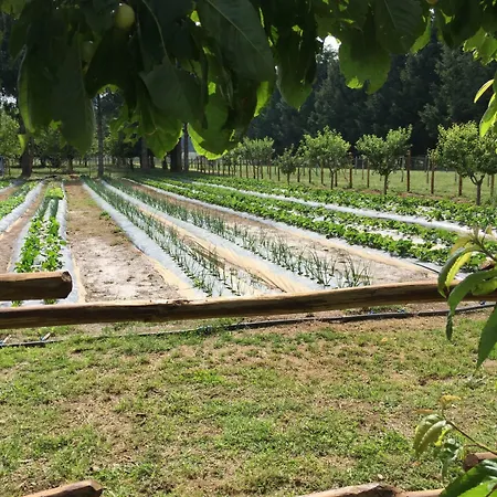 Fiorella Farm stay