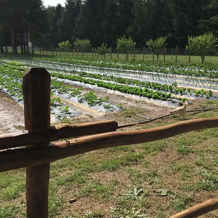 Fiorella Séjour à la ferme Camigliatello Silano