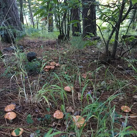 Séjour à la ferme Fiorella