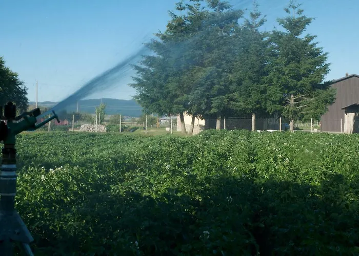 Fiorella Camigliatello Silano