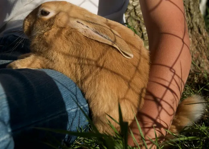 Fiorella * Camigliatello Silano