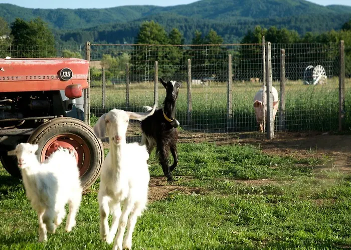 Fiorella * Camigliatello Silano