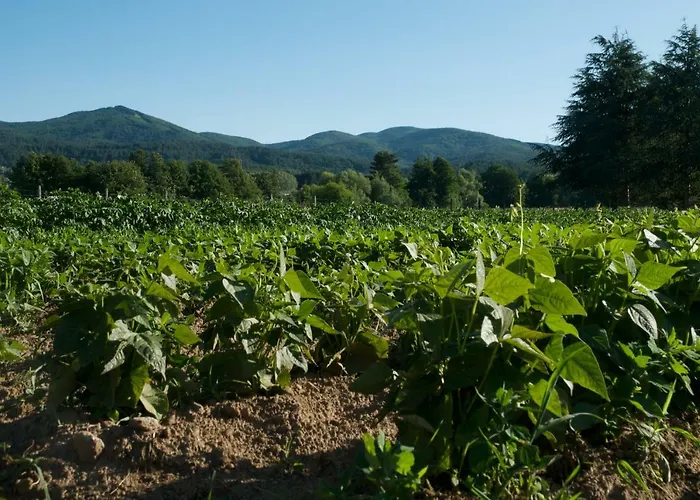 Alloggio per agriturismo Fiorella