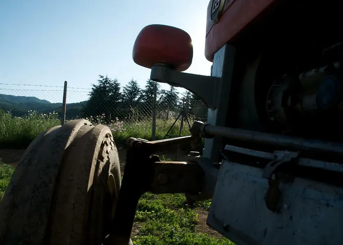 Fiorella Camigliatello Silano