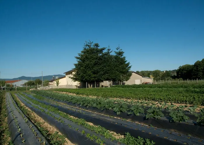 Fiorella * Camigliatello Silano