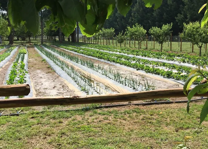 Fiorella Alloggio per agriturismo