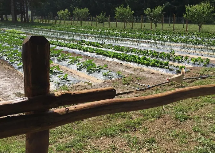 Fiorella Feriegård Camigliatello Silano