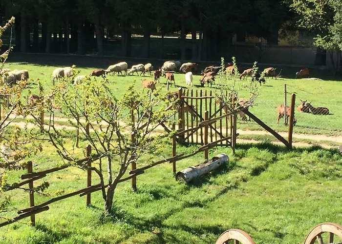 Fiorella Feriegård Camigliatello Silano