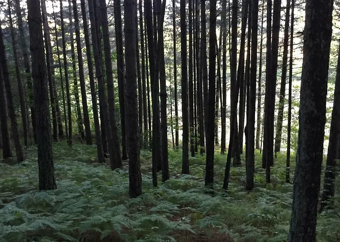 Feriegård Fiorella Camigliatello Silano