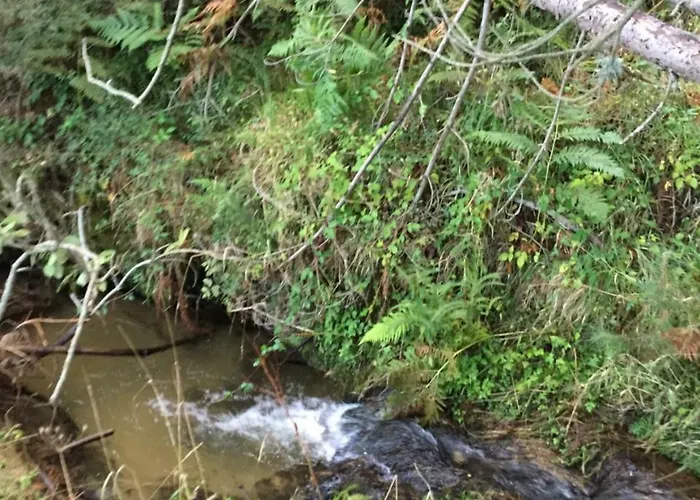 Fiorella Alloggio per agriturismo